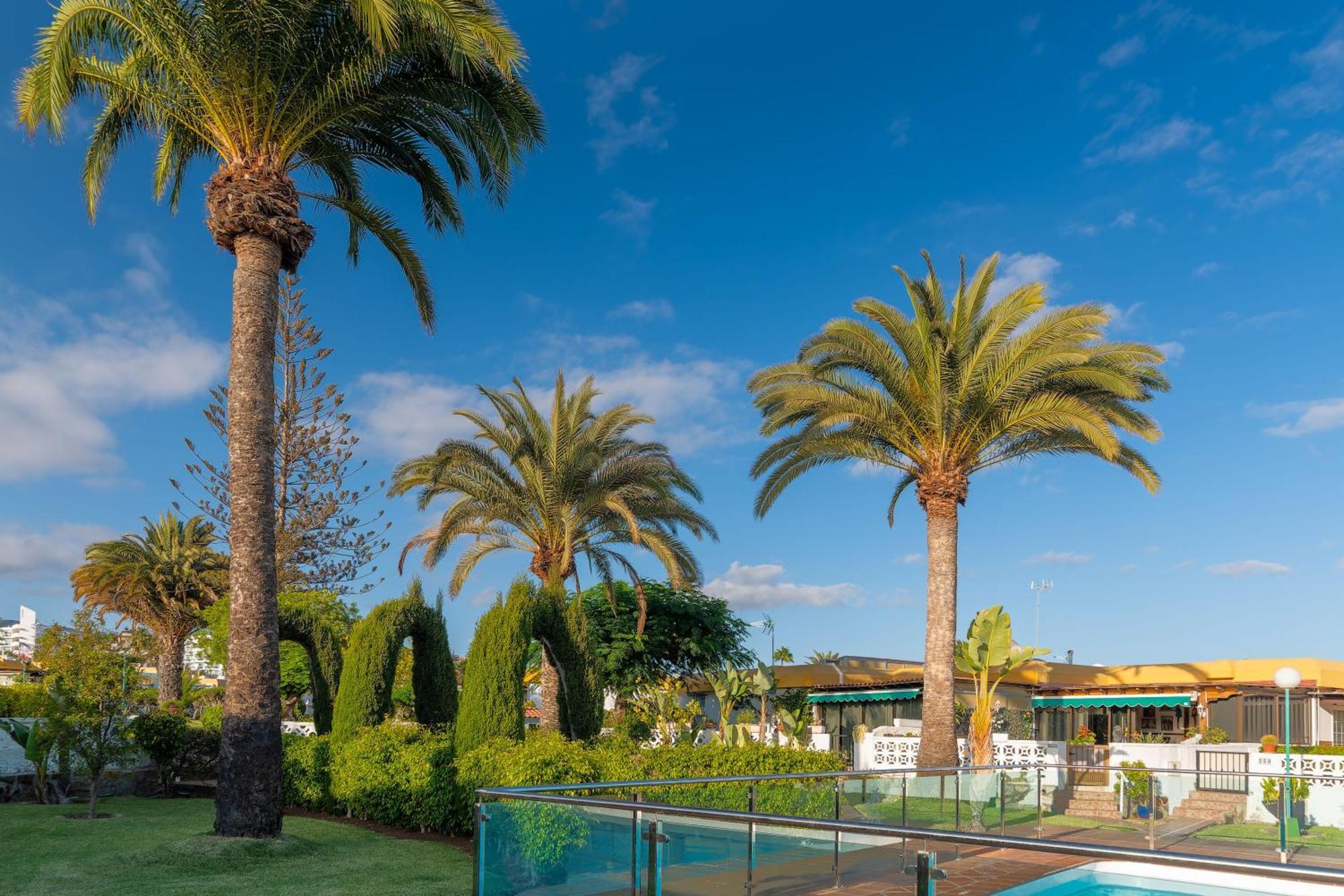 Bungalow Siena Center Playa Del Ingles ماسبالوماس المظهر الخارجي الصورة